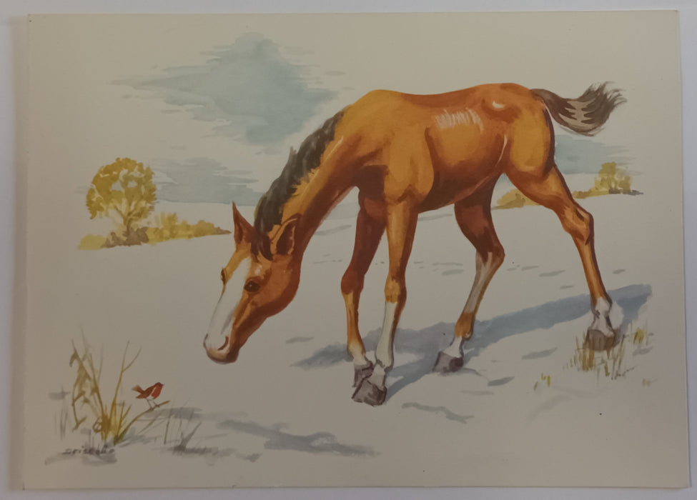 King Charles III Childhood Collection