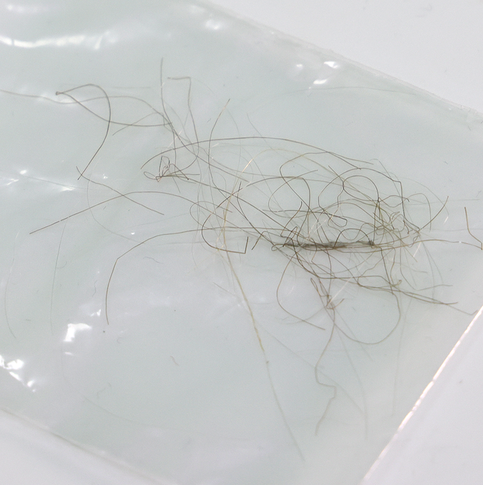 King George III Authentic Strands of Hair