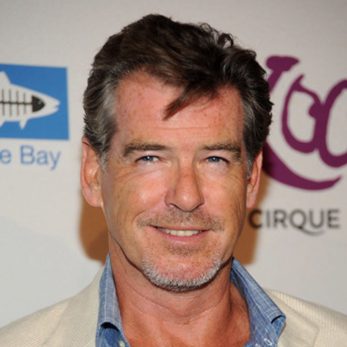 Pierce Brosnan Authentic Strand of Hair