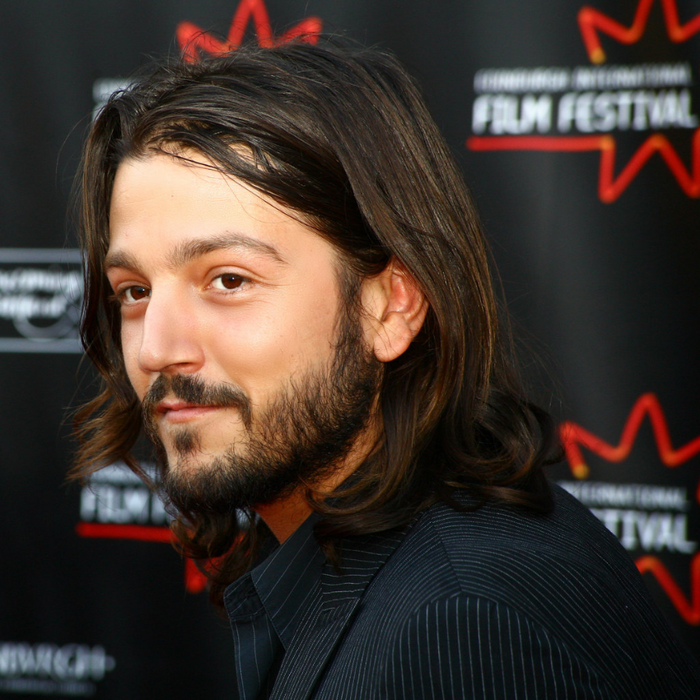 Diego Luna Authentic Strand of Hair