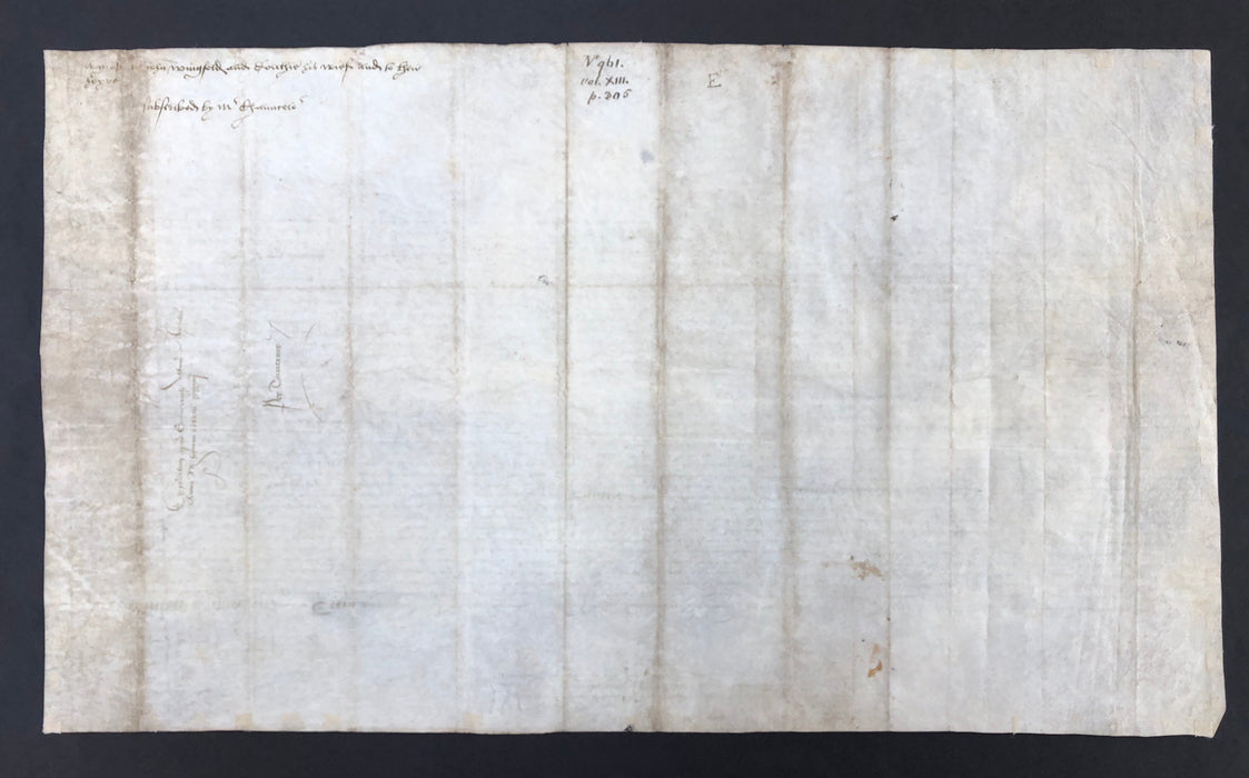 King Henry VIII Signed Petition