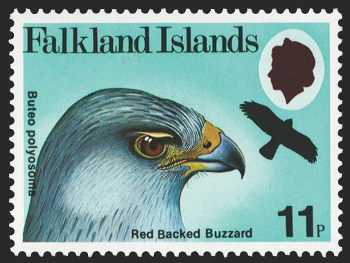 FALKLAND ISLANDS 1980 Birds of Prey 11p variety, SG385w