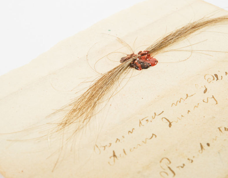 President John Adams Authentic Lock of Hair