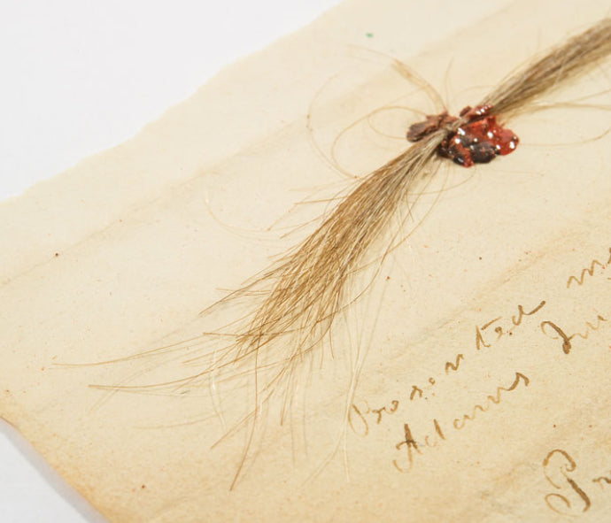 President John Adams Authentic Lock of Hair