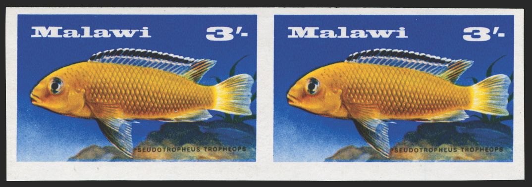 MALAWI 1967 3s 'Orange Mbuna error, SG284a