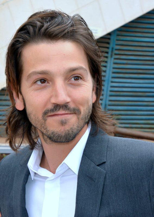 Diego Luna Hair Strand