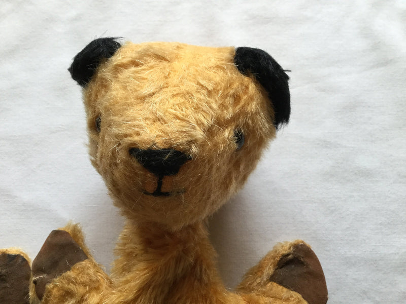Two original Sooty puppets, and Harry Corbett autograph