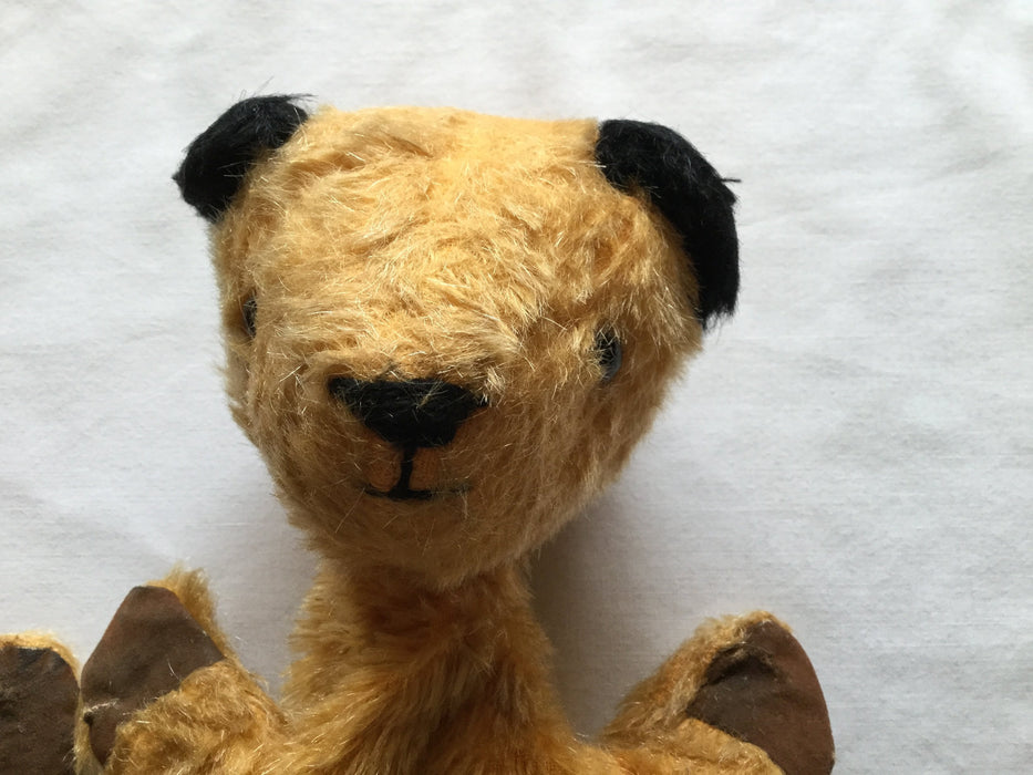 Two original Sooty puppets, and Harry Corbett autograph