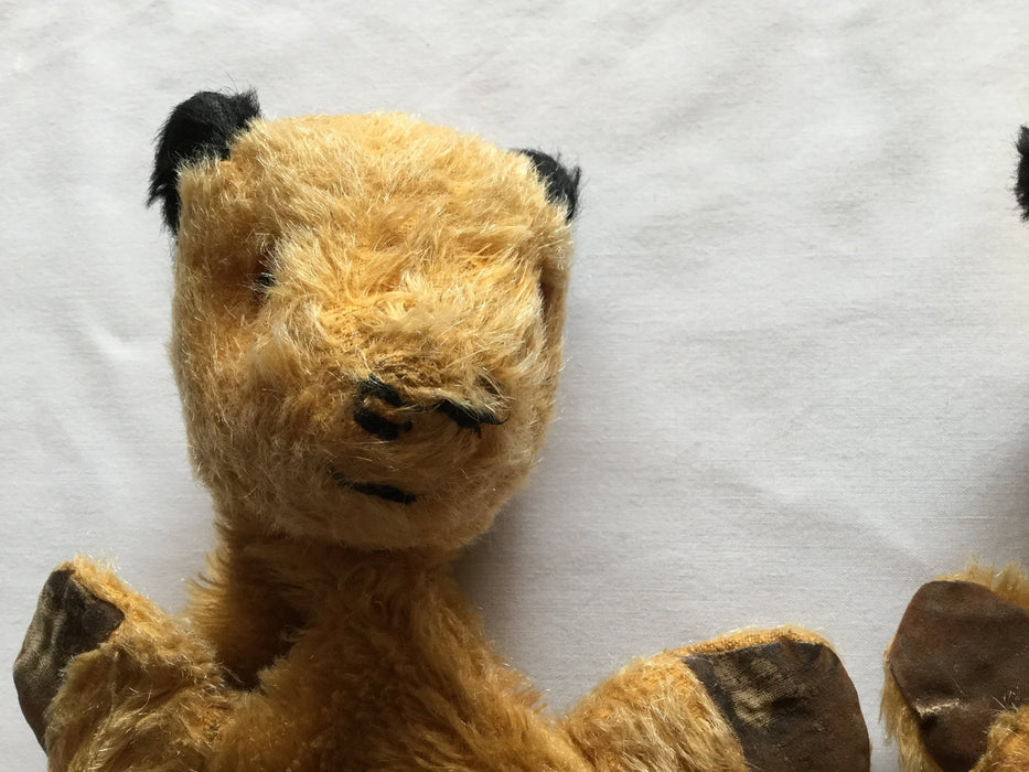 Two original Sooty puppets, and Harry Corbett autograph