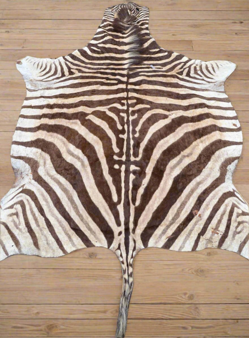 1980 British Lions rugby tour autographed zebra hide