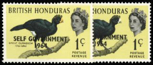 British Honduras 1964 New Constitution 1c SG217b
