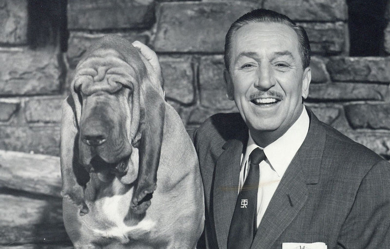 Walt Disney genuine vintage signed photograph