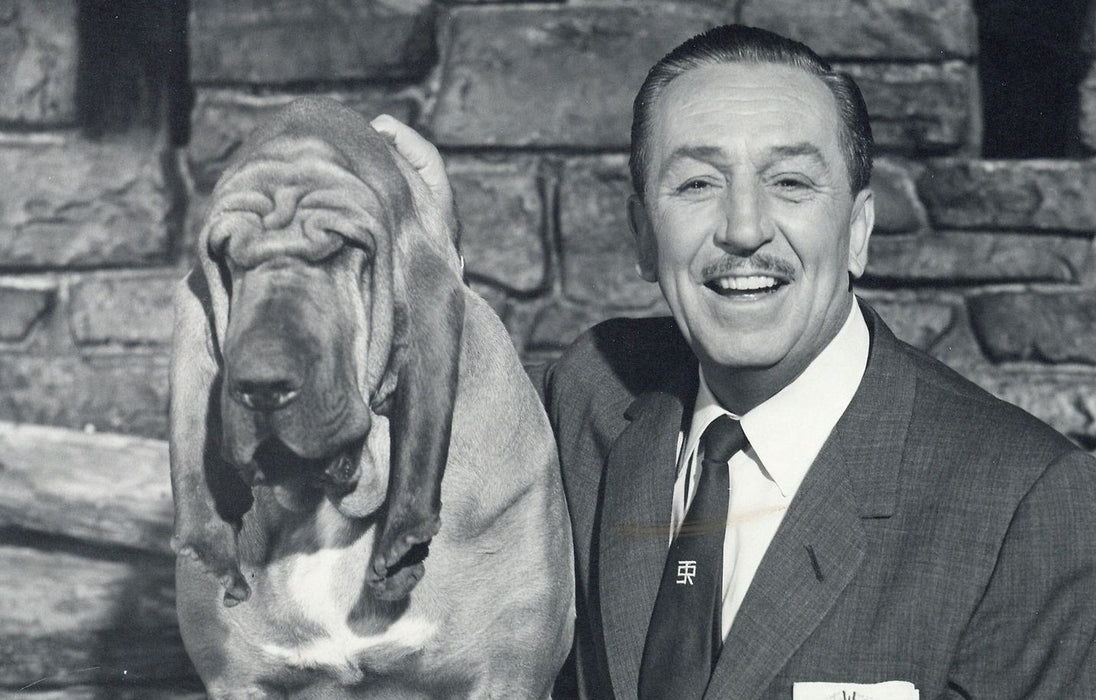 Walt Disney genuine vintage signed photograph