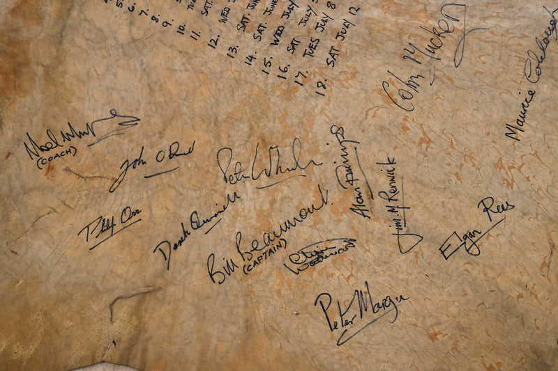 1980 British Lions rugby tour autographed zebra hide
