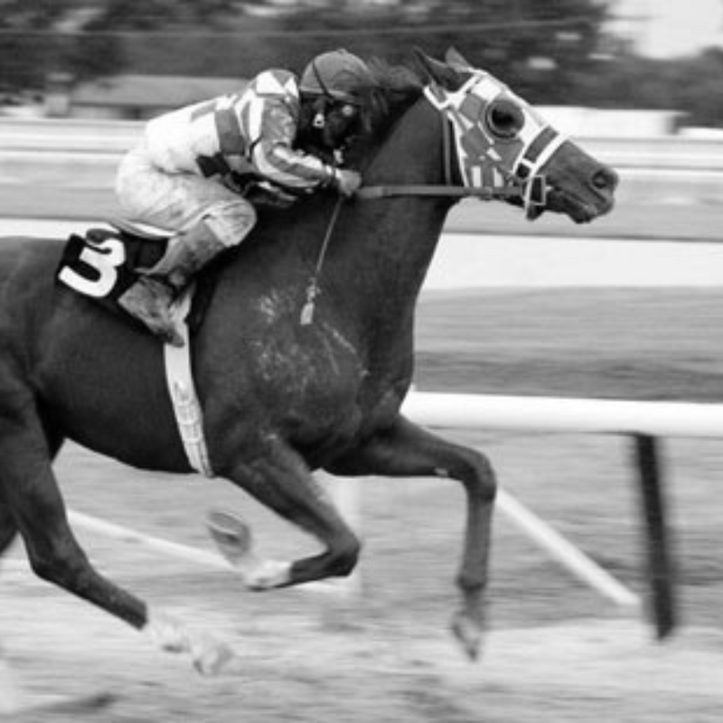 Flat Racing Legends: Racehorse Hair Collection