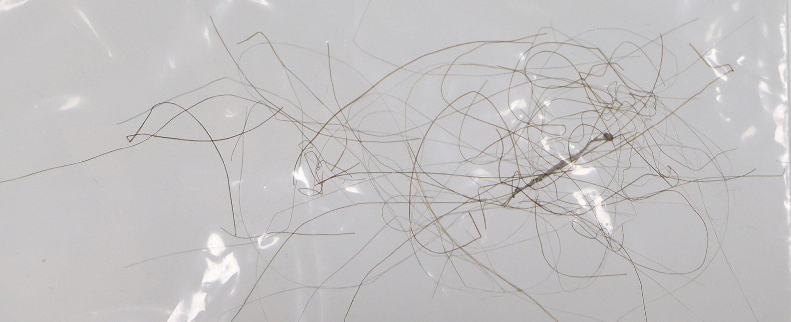 King George III Authentic Strands of Hair