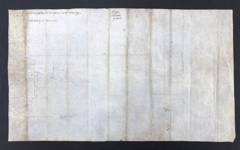 King Henry VIII Signed Petition