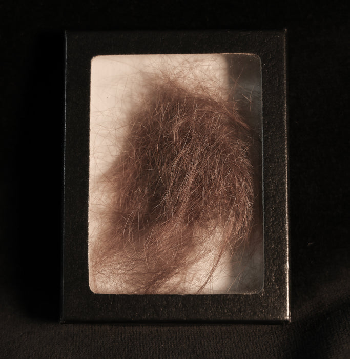 John Lennon Authentic Lock of Hair