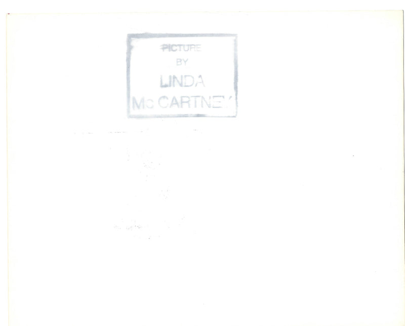 Paul McCartney signed photo