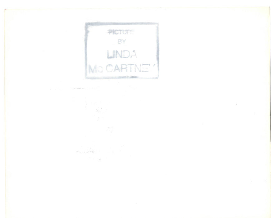 Paul McCartney signed photo