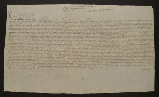 King Henry VIII Autographed Petition