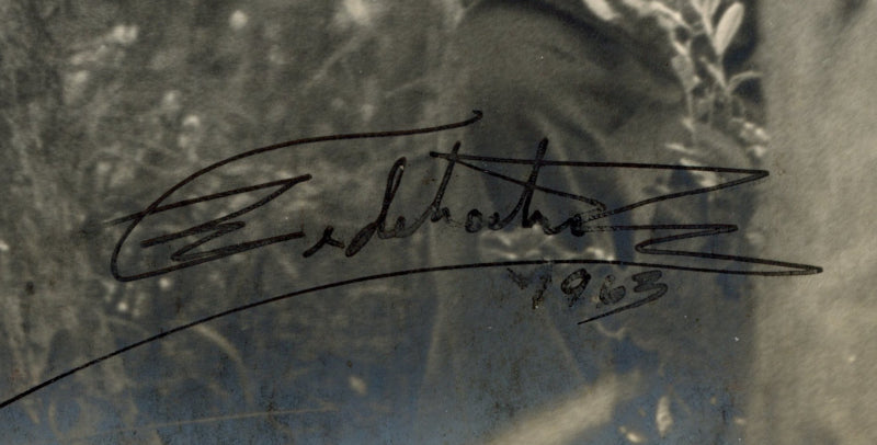 Fidel Castro signed photograph