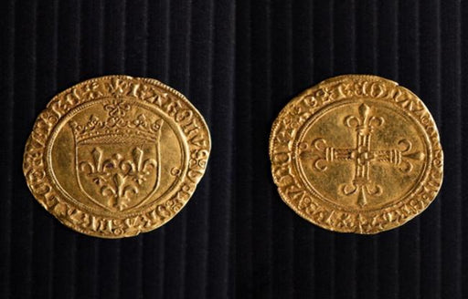 France, Charles VIII 1483-1498 Eau d'or Soleil