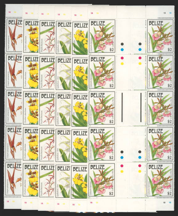 BELIZE 1992 Orchids set of 6 to $2, SG1120/5