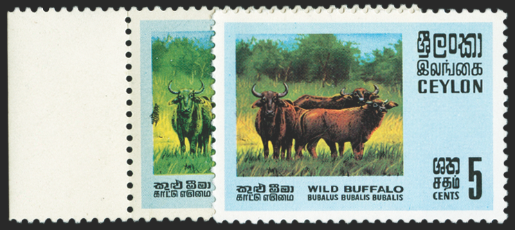 CEYLON 1970 Wildlife 5c 'Buffalo' error, SG561a