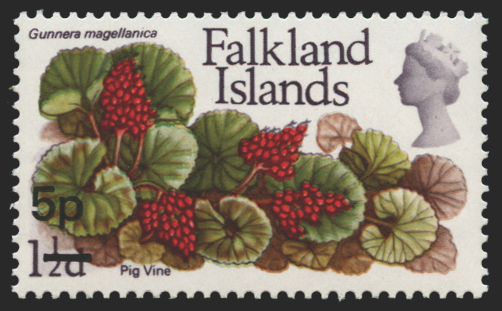 FALKLAND ISLANDS 1971 5p on 1½d error, SG264a