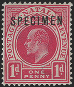 South Africa Natal 1902-03 1d carmine SPECIMEN variety, SG128svar