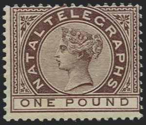 South Africa Natal 1881 £1 chocolate Telegraphs, SGT8