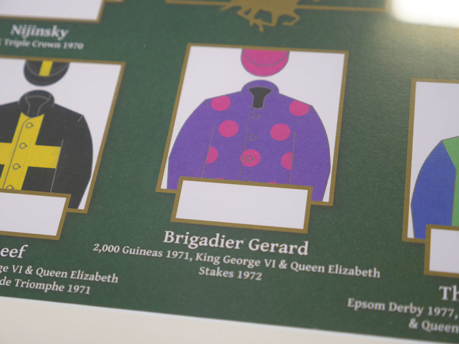 Flat Racing Legends: racehorse hair collection